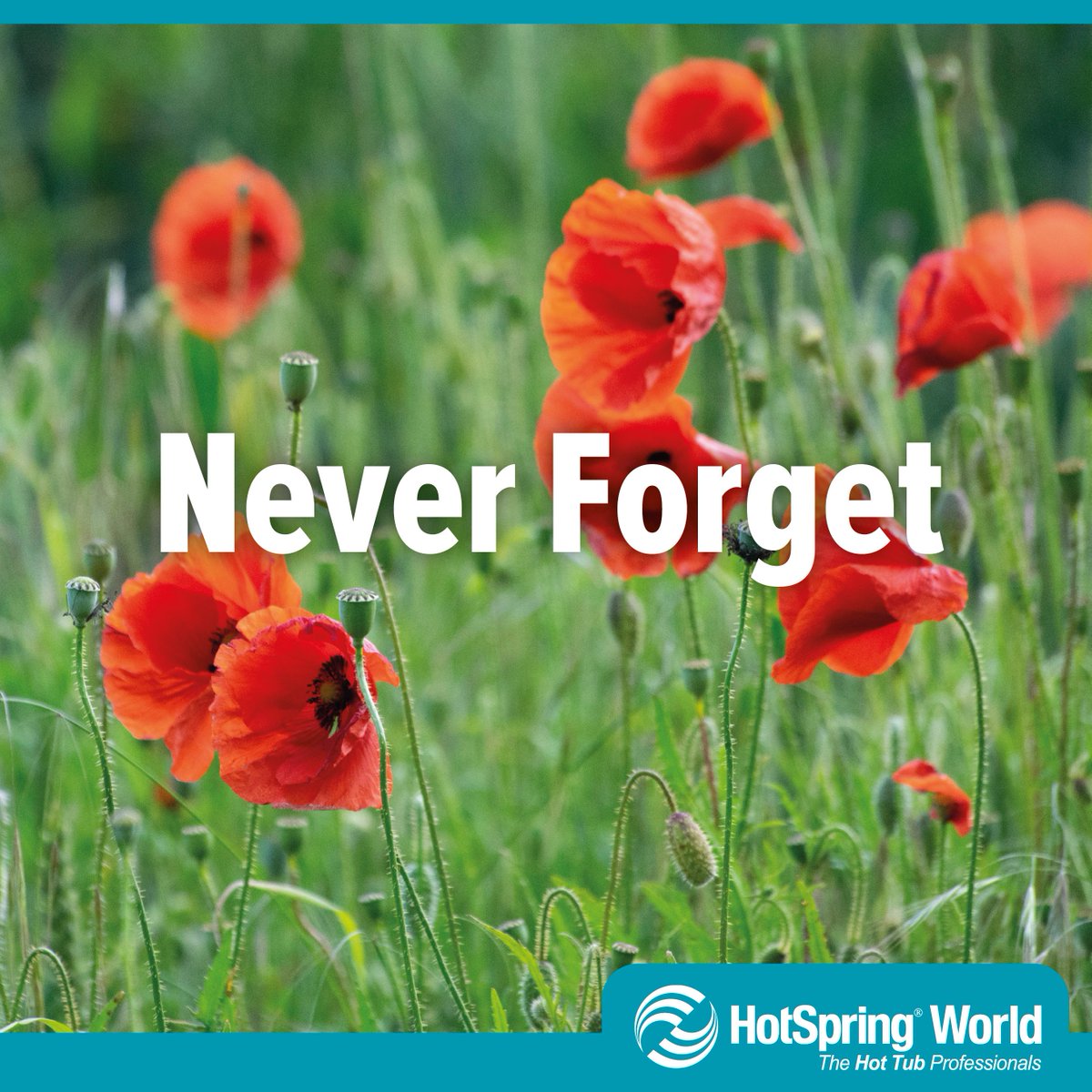 They shall grow not old, as we that are left grow old,
age shall not weary them, nor the years condemn,
at the going down of the sun and in the morning,

We will #remember them, those who died in two world #wars and all conflicts since.

#ArmisticeDay #LestWeForget 🌺💂