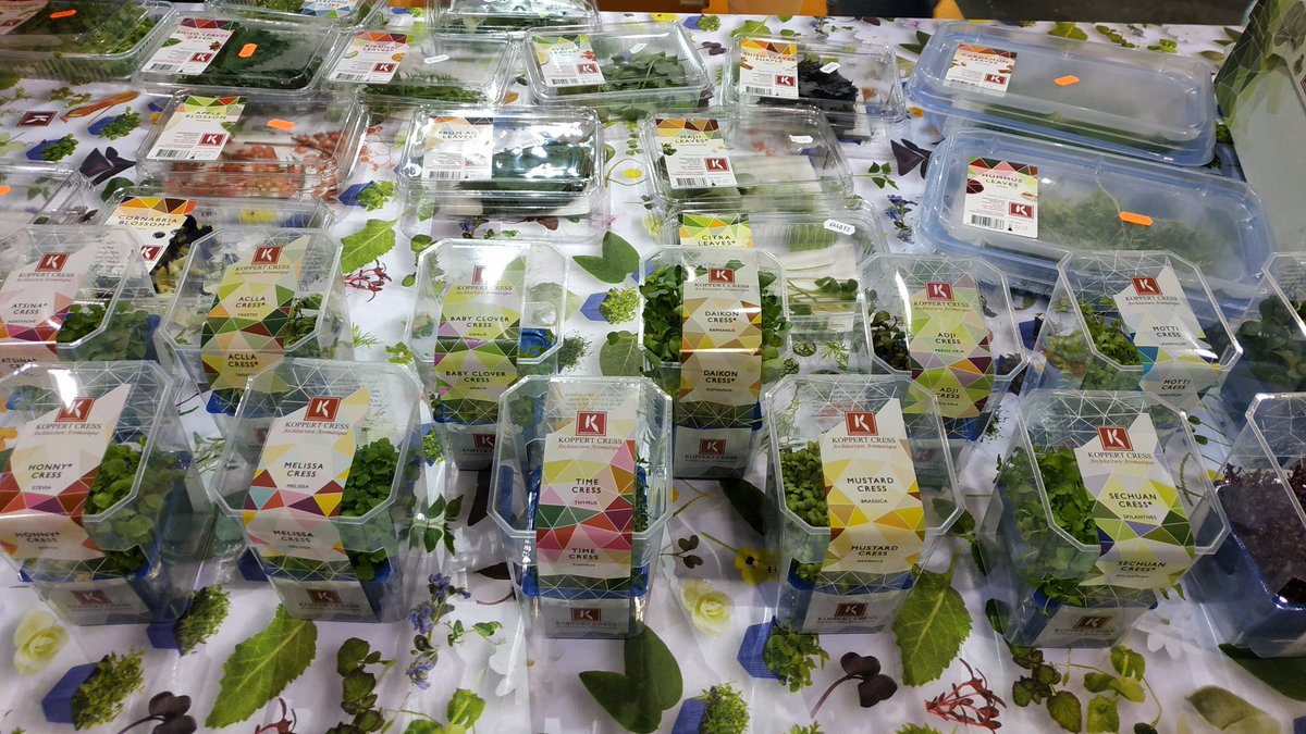 igorcubillo's tweet image. Una ostra vegana. Así me presenta Annette Abstoss, de @koppertcress este bocado a base de la conocida hoja de ostra enriquecida con Salty Fingers para aportar el toque de jugosidad que le falta a la mertensia marítima. Ahora sí parece una ostra, fresca y jugosa @feriagastronoma