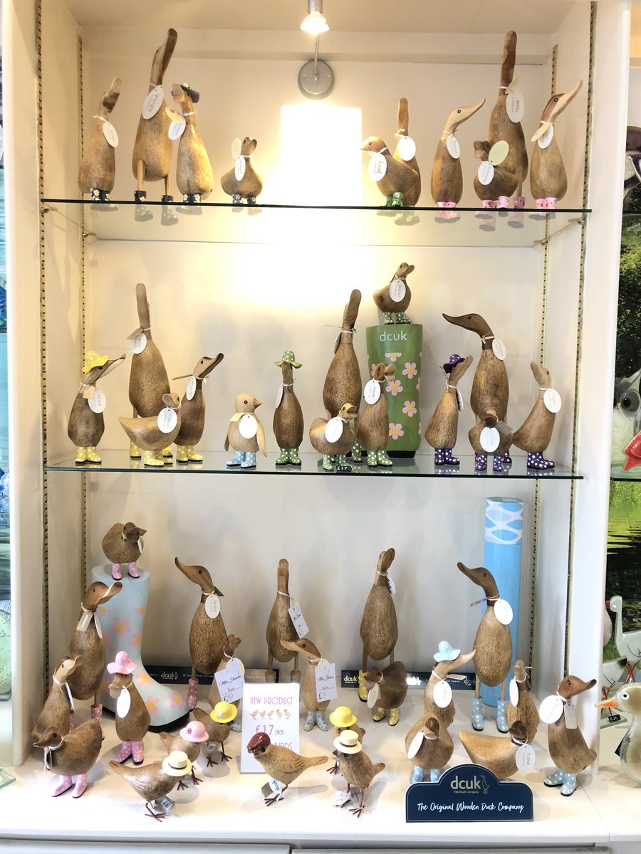Miastanza's tweet photo. @rob_bob247 @Lord_Sugar Thanks Bob, it’s a duck invasion over here! And there’s Alan, the penguin https://t.co/ZGjoTFf3EQ