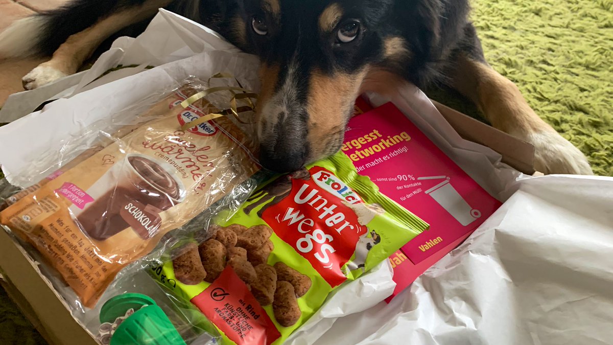 Nord_Seehund's tweet photo. Liebe @haasberlin mittlerweile steht mein Frauchen wieder halbwegs auf ihren 2 Beinen (auch wenn sie noch ganz schön bellt).

Ich habe sie deswegen, nun nochmal mit Nachdruck, auf das Paket von dir hingewiesen, dass hier schon ein paar Tage liegt.

Dankewuff 💖 https://t.co/Ynum128TKm