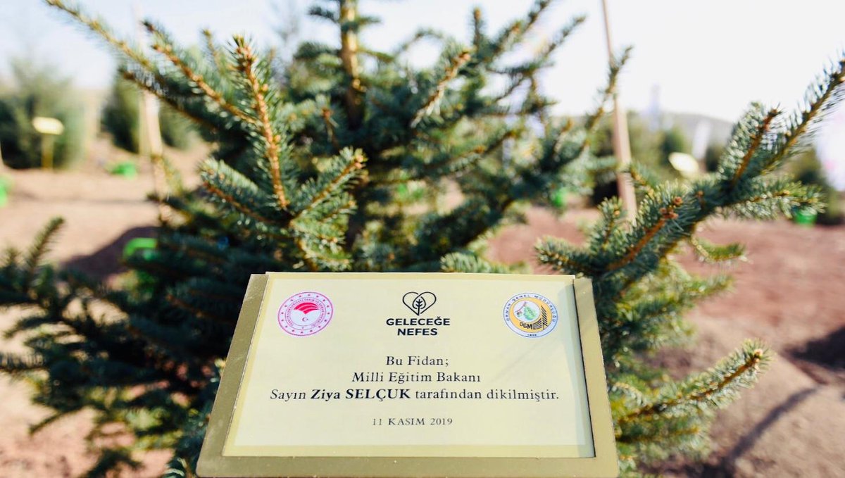 Bugün 81 ilde 11 milyon fidan dikildi. Toprak, üstüne düşeni yapar, içine düşeni yaşatır.  İş şimdi, bugün nefes alan her insanın aklına, kalbine, ruhuna şu fidanın sevgisini düşürebilmekte. Ben fidanımı dikerken dileğimi diledim. Bu fırsat için teşekkürler <a href="/bekirpakdemirli/">Dr. Bekir Pakdemirli</a>