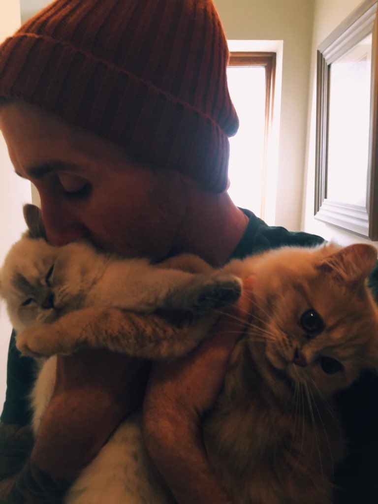 Eliza and the Bear tweet media