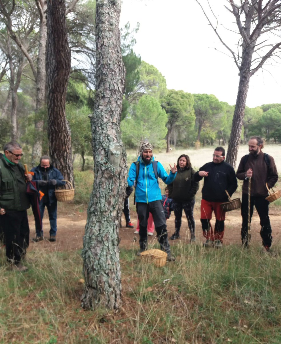 Los profesionales que dirigían las actividades no solo nos transmitieron su conocimiento, sino también el entusiasmo por la materia. Nuestra enhorabuena a ellos y a <a href="/aytoromancos/">aytoromancos</a> y @BudiaDirecto, principales organizadores de las jornadas 👏🏽 ¡Gracias a todos!