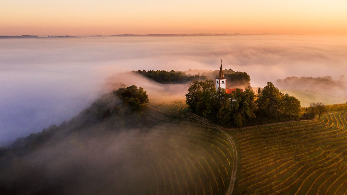 The Autumn Morning Photo by Dani Turnšek <a href="/daniturphoto/">Danijel Turnšek</a>| shot on #DJI #Mavic2Pro