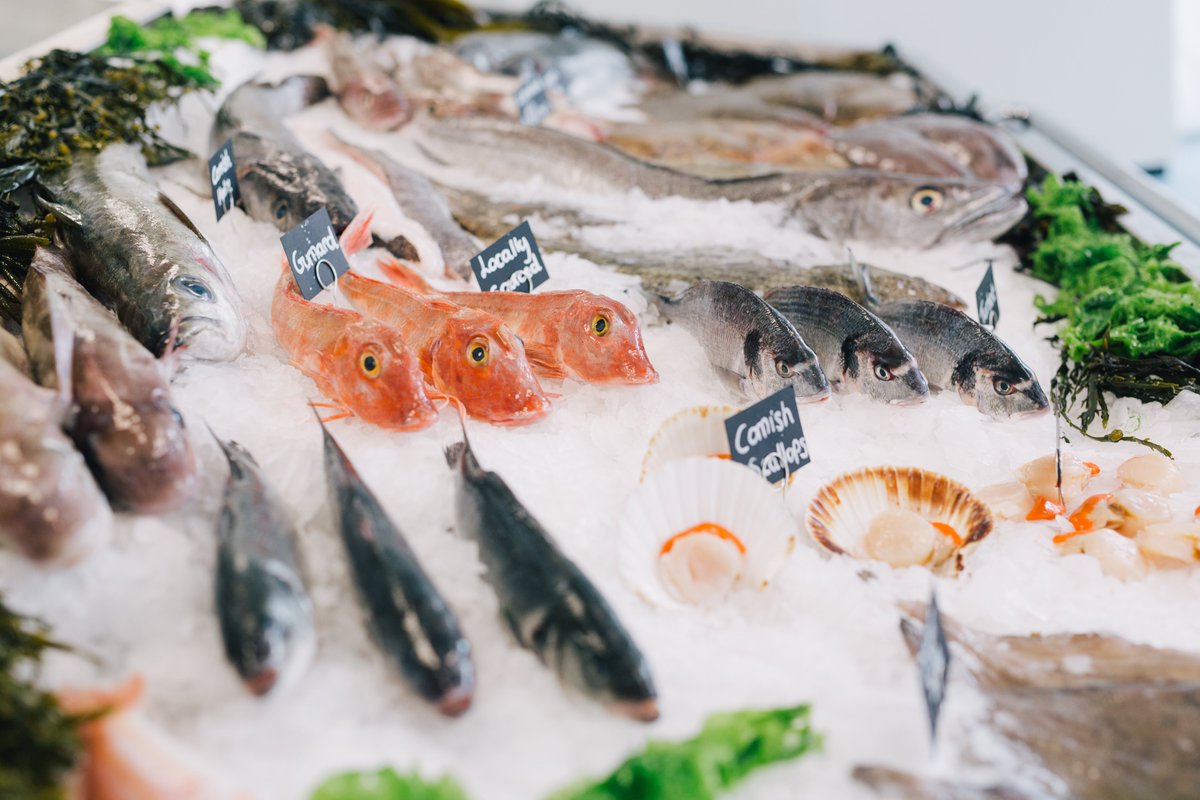 This Is How Your Body Changes When You Go Pescatarian
bit.ly/2Q7HRCg (from bustle.com) 
#pescatarian #seafood
#omega3 #Health #fish