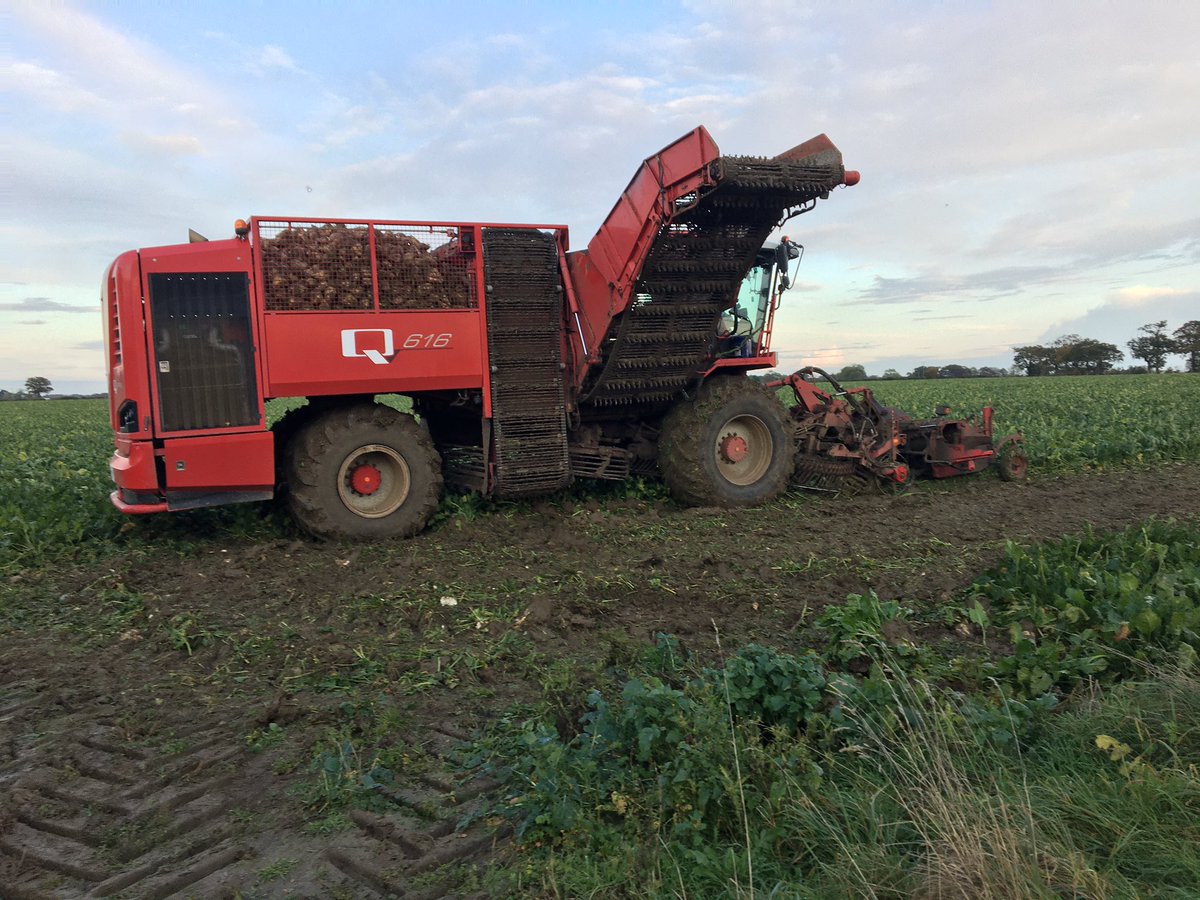 Calm before the storm..