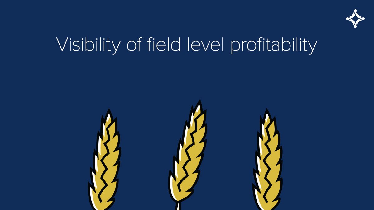 figured's tweet photo. It's almost time to harvest...

There’s something new coming to Figured, watch this space.

#figuredforcropping
#figuredforarable https://t.co/PZWvM4SaAZ