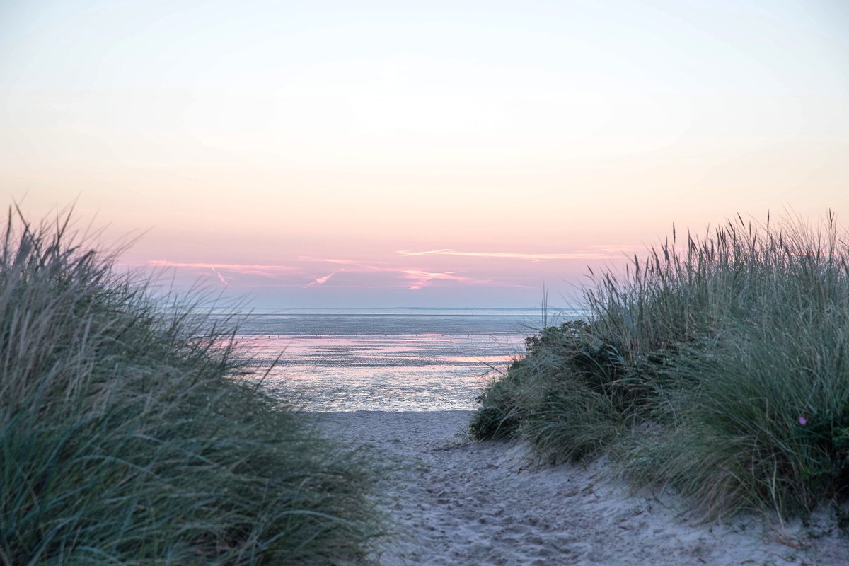 wangerland's tweet photo. Die Beste Therapie gegen Stress: Meerluft.
#Wangerland #Schillig #wangerliebe #nordsee #thalasso #meerliebe #meerluft https://t.co/smRMoQGbq0