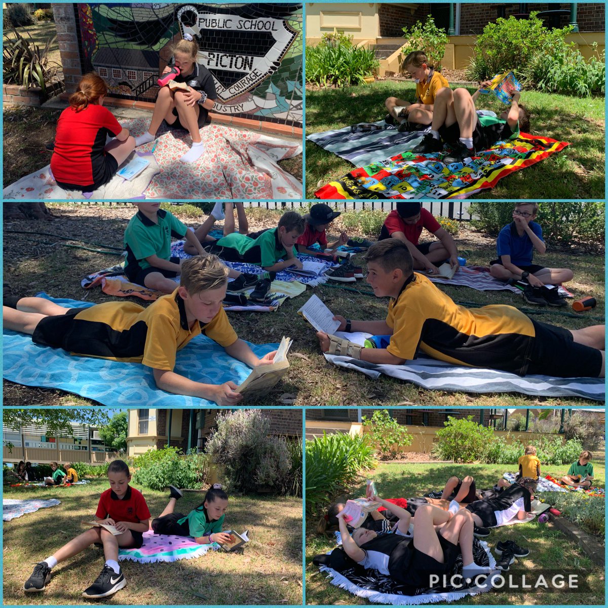 Students making the most of the spring sunshine and enjoying ‘Beach Towel Books’. A great opportunity to read independently and listen to students read in an outdoor environment! ☀️ @PictonPS #pictonpride #beachtowelbooks