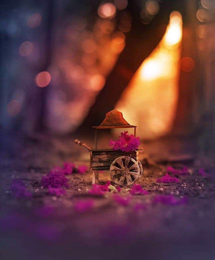 عن كمية الرآحة الموجودة بِ هي الآية:
" و أصبر صبراً جميلاً إنهم يرونه بعيداً و نراه قريباً " .. 💜
💜
💜

أسعد الله صباحكم بكل خير