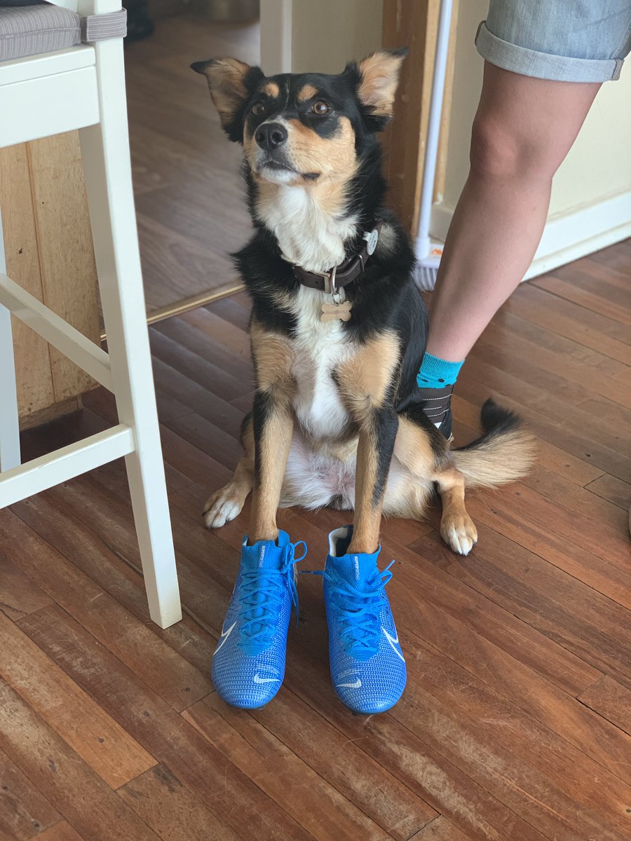 April Grava  tweet media