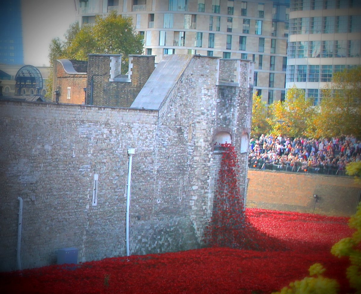 OU_ArtHistory's tweet photo. Today's #materialmondays is to mark #remembranceday: #BloodSweptLands and #SeasofRed by #paulcummins and #tompiper. https://t.co/BdUaPpEHy9