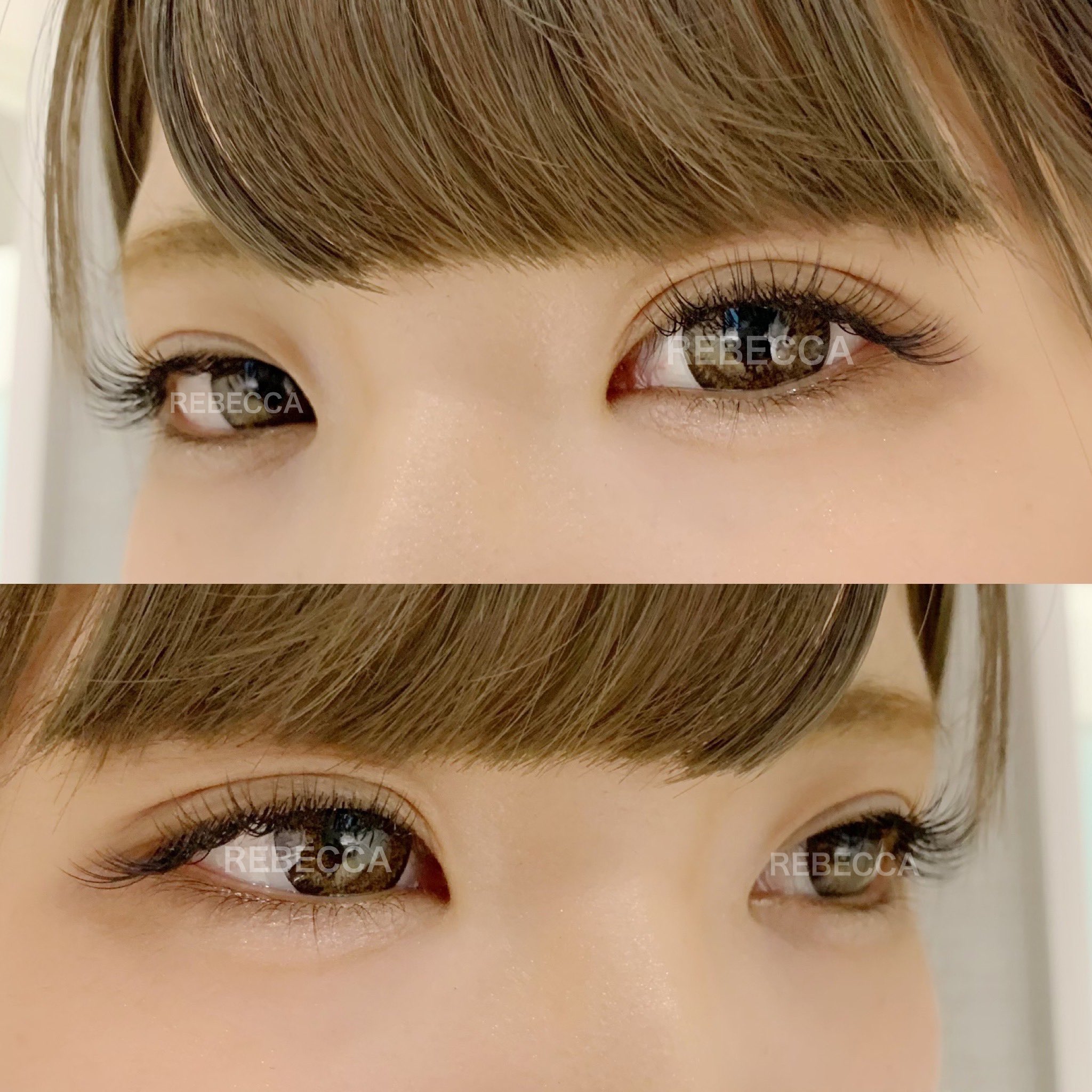 Rebecca Eye Lash Rebeccalash Twitter
