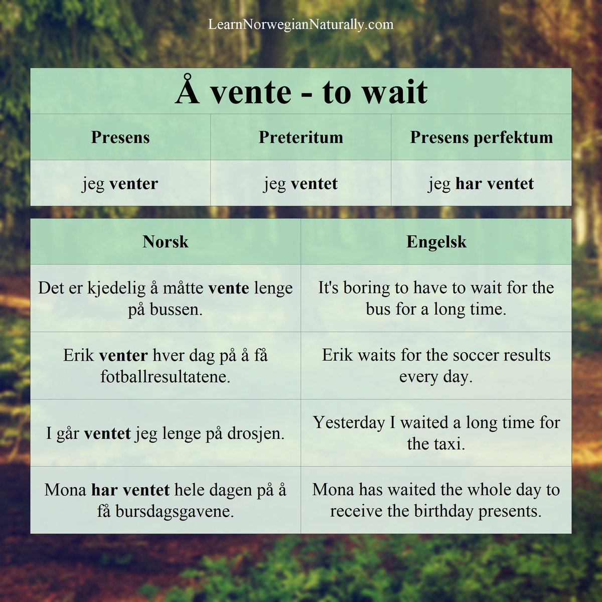LearnNorweg's tweet photo. Norwegian verb of the day: "Å vente" = "to wait"
Instagram: https://t.co/YAG5GXHlMz
#learnnorwegian #norwegian #norwegianlanguage #norsk #lærnorsk #norway #education #tutorial #verb #linguistics #languagelesson #norge #lærenorsk #norwegiancourse #norwegianclass https://t.co/CBauWNCRGZ