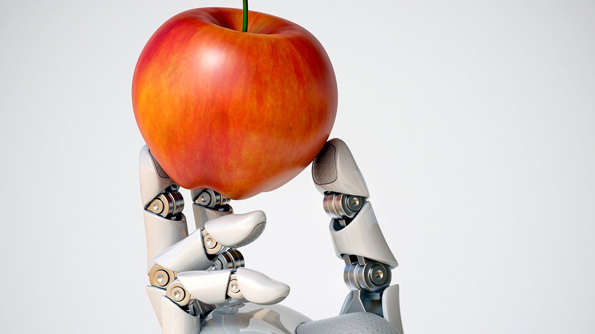 With the rise of online shopping, veganism and sustainability concerns, we take an in-depth look in The Future of Food to analyse what our changing eating and shopping habits will mean for established retailers the world over by 2030. Read more: retail-week.com/future-of-food