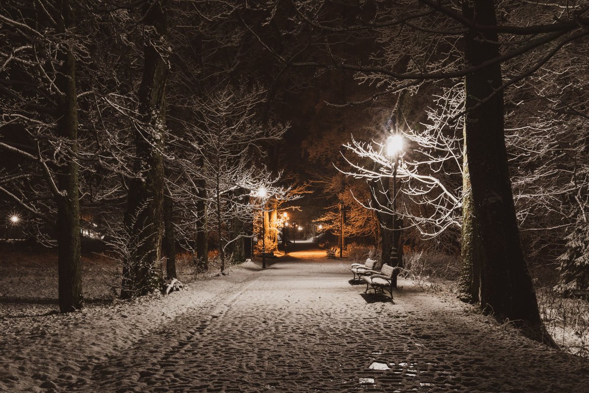Tatromaniakpl's tweet photo. Dzisiejsza noc w Zakopanem.

Ależ klimat ❄☃❄

fot. Jan Byczkowski https://t.co/PrZZMozCCd