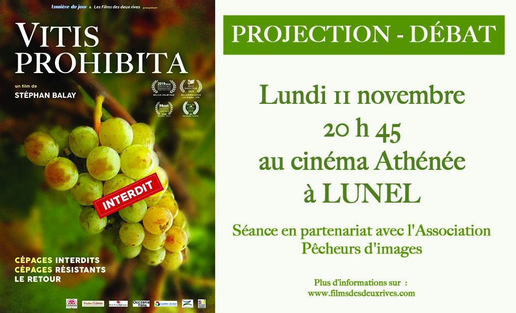 #VitisProhibita à #Lunel !
De nouveaux cépages pour une viticulture sans pesticides !
Connaissez-vous l’incroyable histoire des vins interdits ?