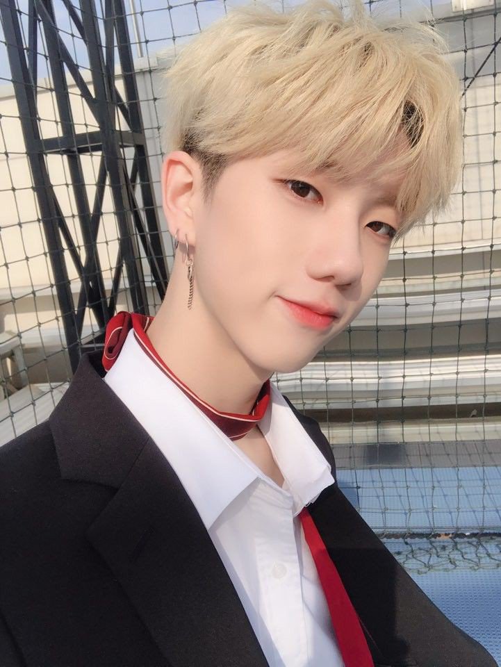 ◦•●◉✿ 𝕷𝖆𝖒𝖇𝖔 ✿◉●•◦ @la tweet media