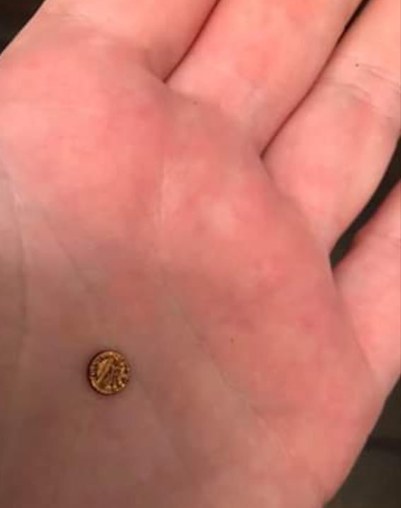 Mike______Azuki's tweet photo. lo que pasa si pones una moneda en el microondas durante 1min 🤔🤔🤔😮😮😮😮 https://t.co/iRpGApGpPR