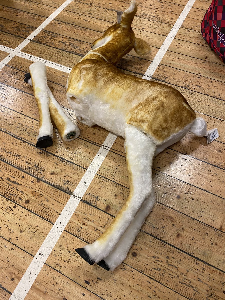 WSRegatta's tweet image. Saturday night was a great success - Even the old dears got legless! Thanks to everyone for coming and making it a great night and bidding so generously! Thanks too to those that donated prizes - extremely generous. And...