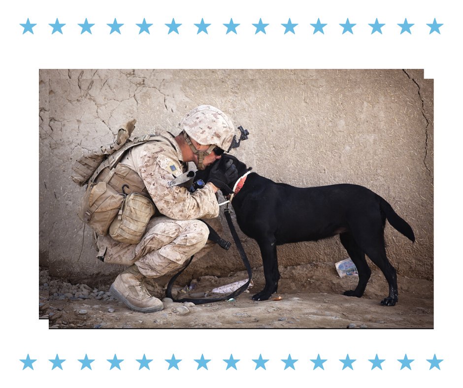 PETS SUPPLY WAREHOUSE (warehouse_pets) Twitter