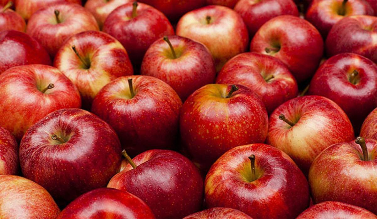 hazah_team's tweet photo. فوائد التفاح 🍎❤️
1- تحسين صحة الجهاز العصبي والأعصاب .
2- يحمي من الخرف .
3- خفض خطر الإصابة بالسكتة الدماغية .
4- خفض مستويات الكوليسترول المرتفعة .
5- الحماية من السكري .
6- غني بمضادات الأكسدة .
7- يحتوي على سعرات حرارية قليلة .
8- غني بالألياف الغذائية. https://t.co/nCa5BVlzHo