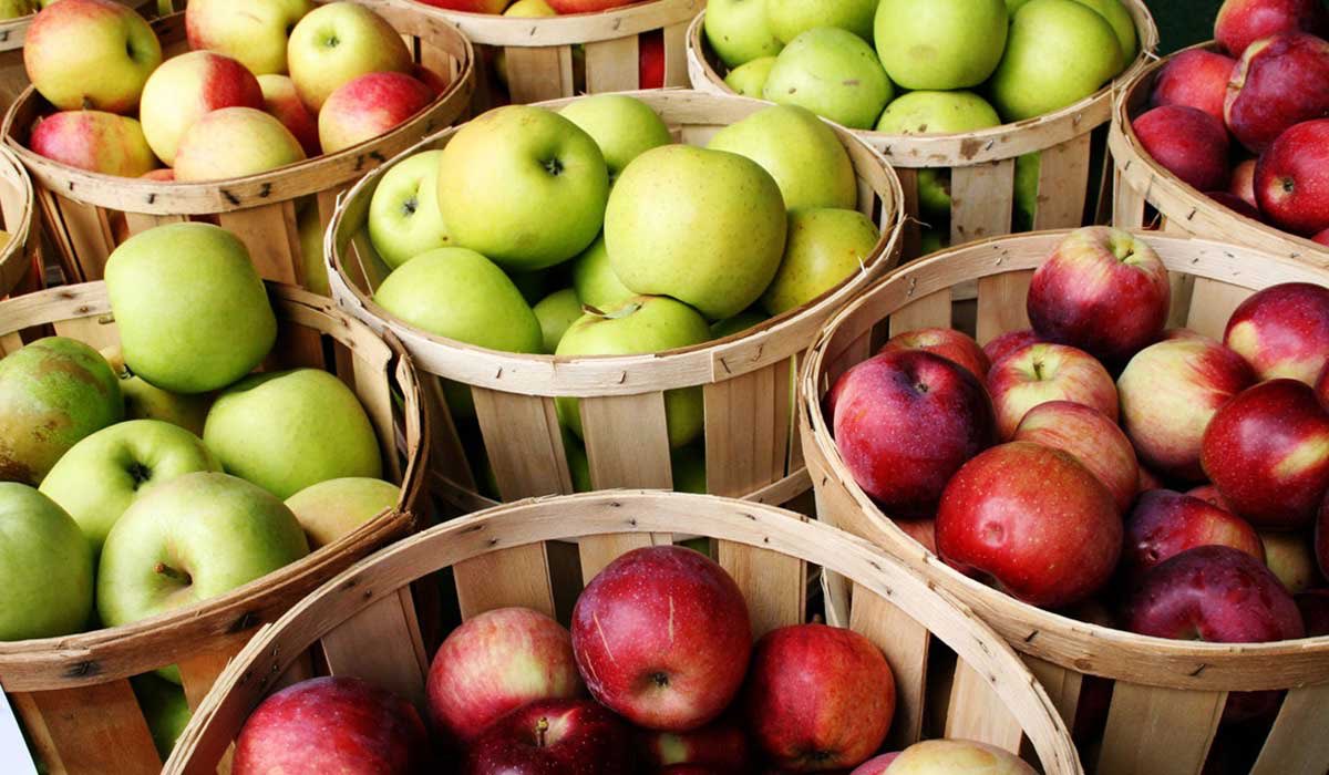 hazah_team's tweet photo. فوائد التفاح 🍎❤️
1- تحسين صحة الجهاز العصبي والأعصاب .
2- يحمي من الخرف .
3- خفض خطر الإصابة بالسكتة الدماغية .
4- خفض مستويات الكوليسترول المرتفعة .
5- الحماية من السكري .
6- غني بمضادات الأكسدة .
7- يحتوي على سعرات حرارية قليلة .
8- غني بالألياف الغذائية. https://t.co/nCa5BVlzHo