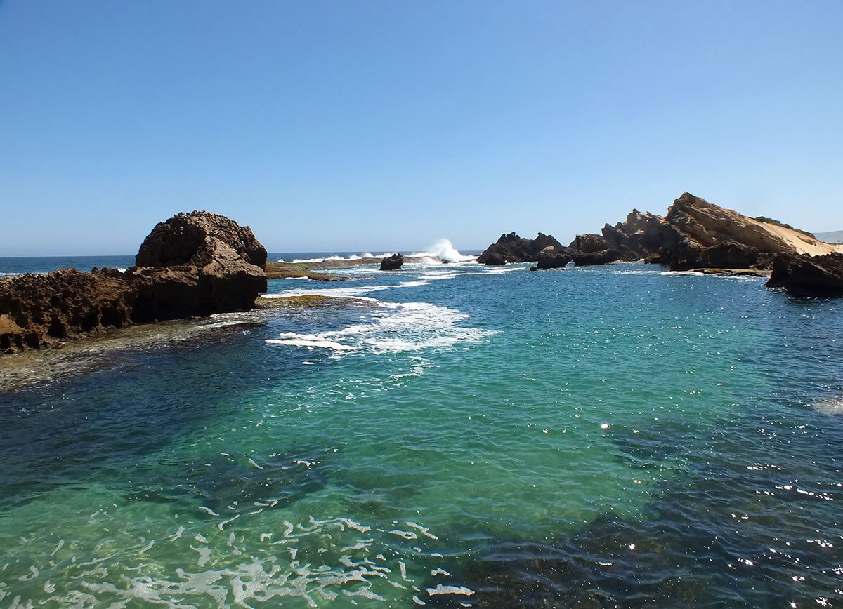 ExperienceEastCape tweet media