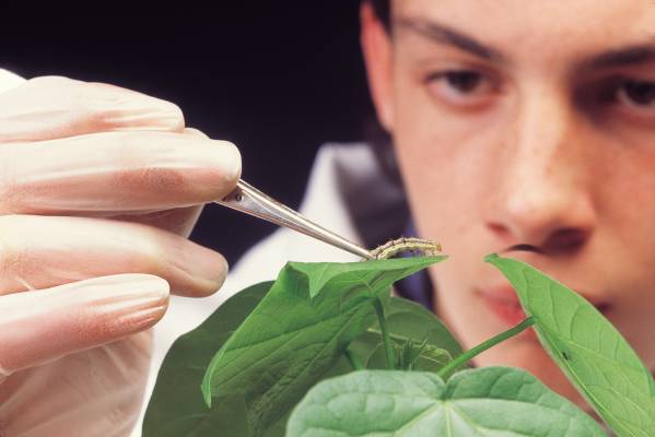 Syngenta establece nuevos objetivos de innovación para abordar el cambio climático.
lasjarasonline.com/blog/entry/htt…