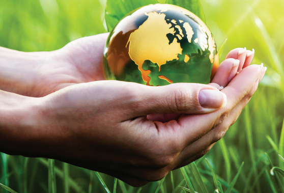 StarlabUKLtd's tweet photo. 🌵 THANK YOU to everyone who supported last week's #starlabsustainabilityweek 🌵 We loved hearing your ideas for #sustainablescience and how we can help you be a greener lab. Did you see our #getgreenwithstarlab publication? 👉 https://t.co/mzjwtlDVin https://t.co/fOeYZhWwzO
