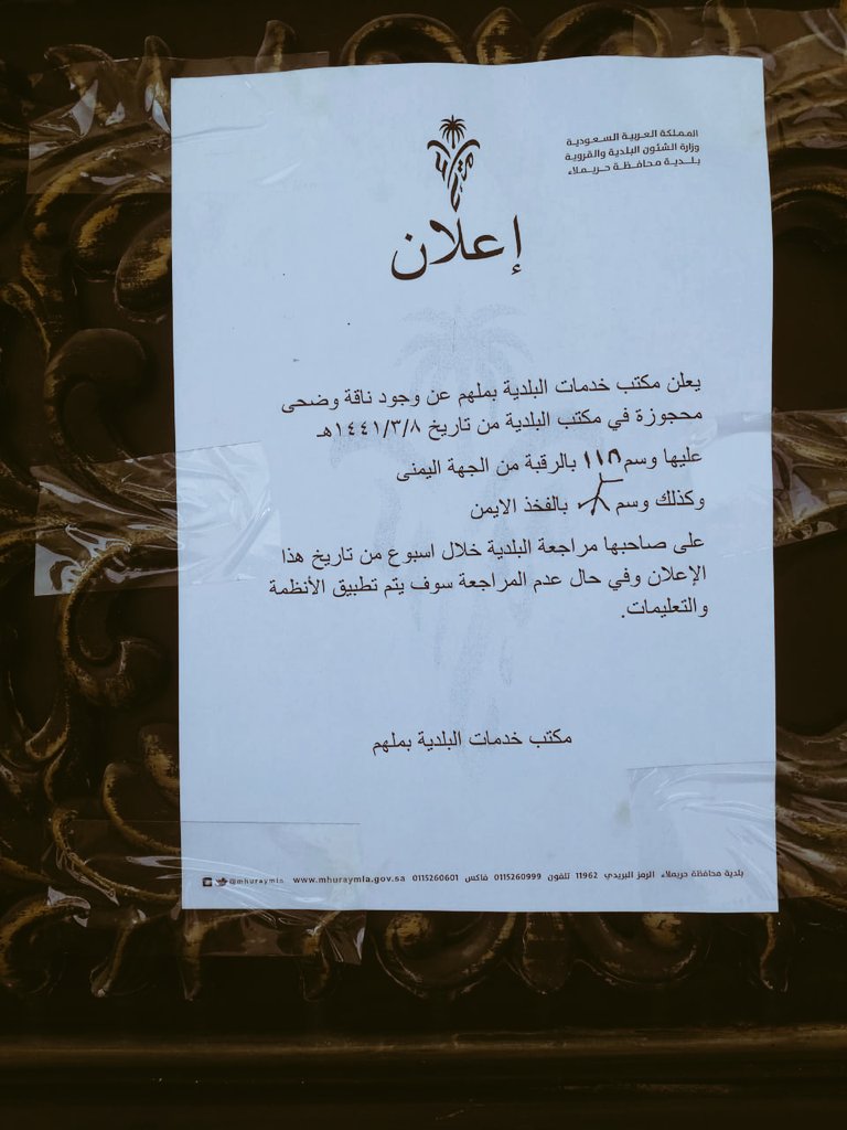 AAZaaa09's tweet photo. منهيله الناقه الوضحا عليها وسم الشيابين
وعليها البرثن على الفخذ من يمين
الناقه موجوده بحجز بلديه ملهم
👇👇👇👇👇👇👇 https://t.co/P8Xgb4MUco