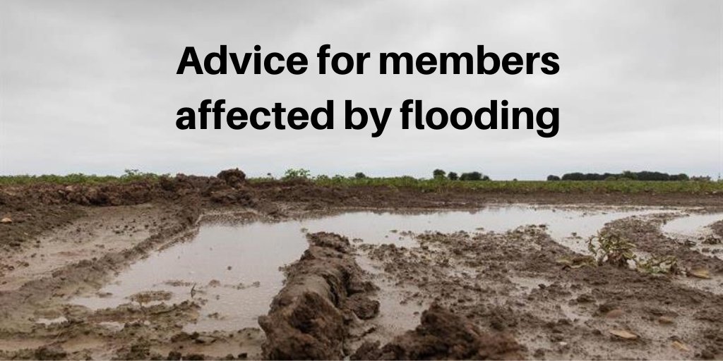 NFUtweets's tweet image. With serious flooding across the country here's our advice for members affected:
📞Call @EnvAgency incident line 0800807060
📞Contact NFU #CallFirst if you have greening crop diversification &amp;amp; EFA rules compliance concerns 03708458458 
Stay #FloodAware 👉 ow.ly/w8ec50x7q9M