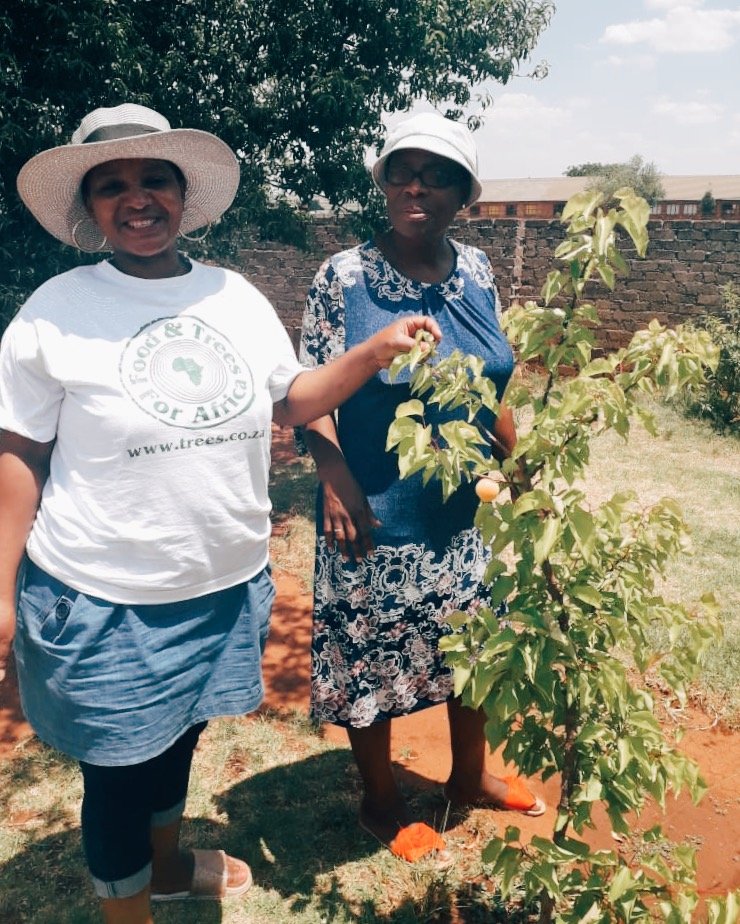 ftfa's tweet photo. A year ago, 1000 trees were distributed throughout Vosloorus, Gauteng thanks to the generous support of Grinding Media South Africa (GMSA). These trees have been well looked after by the community and, as you can see, have put smiles on their faces.
#TreesInSharedSpaces #SDGs https://t.co/ertOgBTdL3