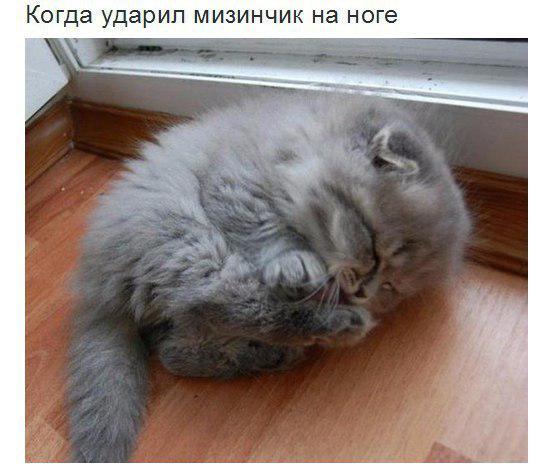 EJFZWnnXUAA8ErT?format=jpg&name=small