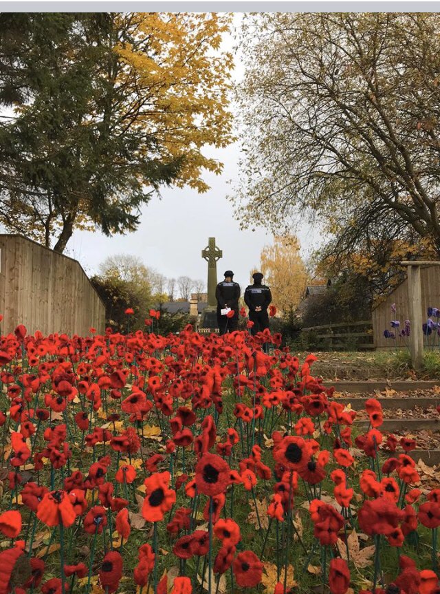 Nunthorpe and Marton Knitters tweet media