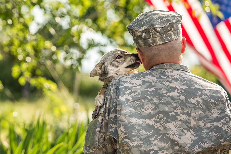 BetterBowl's tweet photo. Thank You, Veterans...... #betterbowl #veteransday https://t.co/NezZc8YfxC