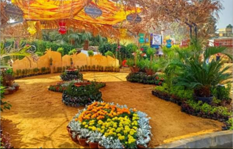 Lotusegypt1's tweet photo. #صباح_الخير  للي بيحبوا الورد بأنواعه 🌹🌷🌵🌳🌴🌲🌸🌻🌼🌺
معرض زهور الخريف السنوى في المتحف الزراعي ومستمر لمده شهر ونص 
من الساعه 9ص_10م 
التذكرة 3 جنيه 
ولو رايح بالمترو انزل في محطه الدقي وحتمشي ليه حوالي 7دقايق كده تقريبا https://t.co/a8gcnHYhcG