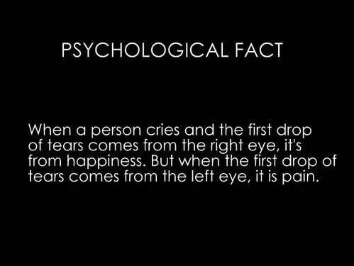 WisdomQuotes4Me tweet picture