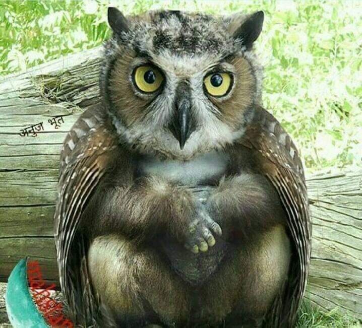 Ashwani17529414's tweet photo. #NOTAAgain...Kursi Cheez he Essy h....Dr Ashwani Vashist #NOTAAgain https://t.co/CU5XU9V8rx