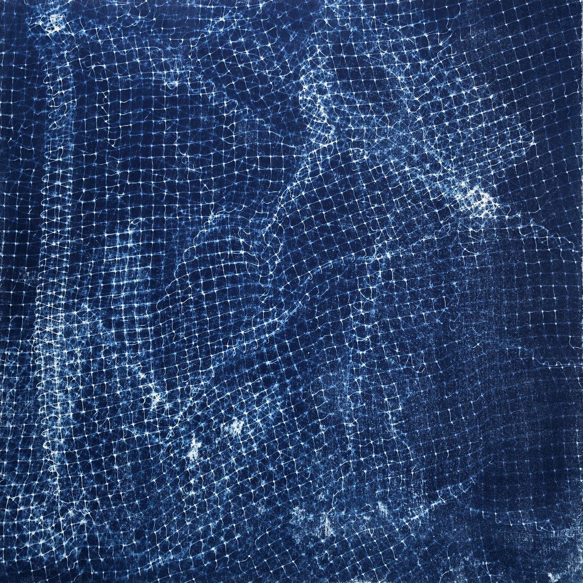 _CarolePearson's tweet photo. Final week of #BlackSwanOpen @BlackSwanArts “Netting” showing until 16th November #cyanotype https://t.co/3uTB6Qf7EI
