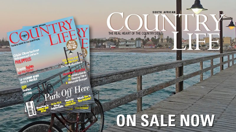 SACLMag's tweet photo. Say hello to our December issue.
#CLtravel
https://t.co/xtabILFHri https://t.co/Jr5aymyyWw