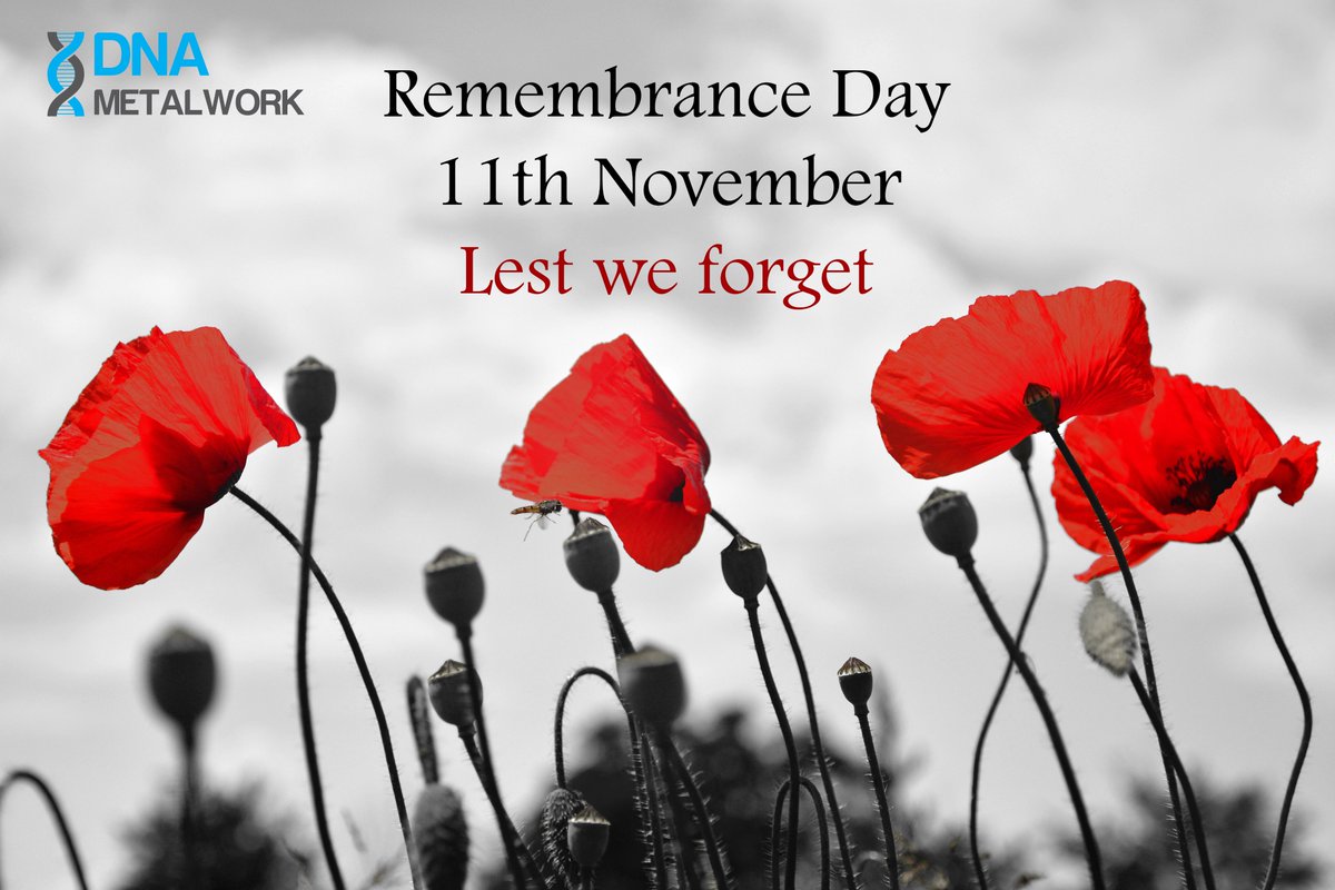 Today marks the 101st anniversary of the signing of the Armistice that marked the end of WW1.  Let us all remember those who fought and fallen across both world wars.  Lest we forget.

#Armistice2019 #ArmisticeDay #WeWillRememberThem