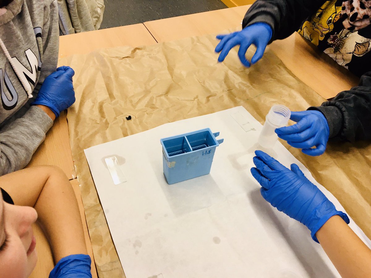 IRBBarcelona's tweet photo. Avui hem estat a l’escola Vinya del Sastret @Ajsesrovires descobrint el #metodecientific 👩🏻🔬 i observant les nostres cèl•lules al #microscopi 🧫🔬 de la mà de la Mònica i la Mar!
Gràcies pel vostre suport al #RepteMetàstasi! Junts ho farem possible! 💪🏻 https://t.co/IhSMeDOGr6