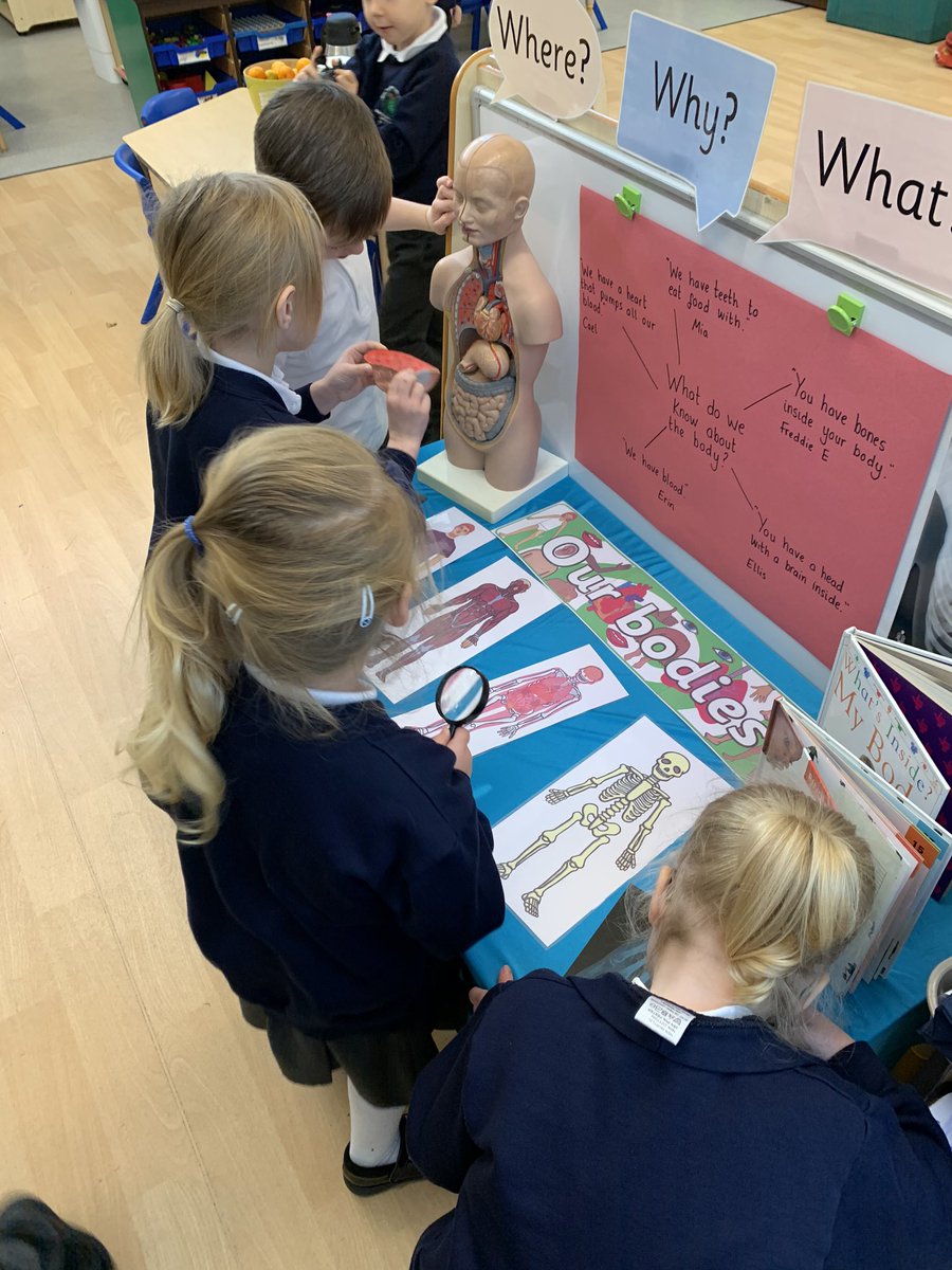 scps_foundation's tweet image. In FS2 we have been learning all about the human body. #springcottageeyfs #springcottagescience #fs2h