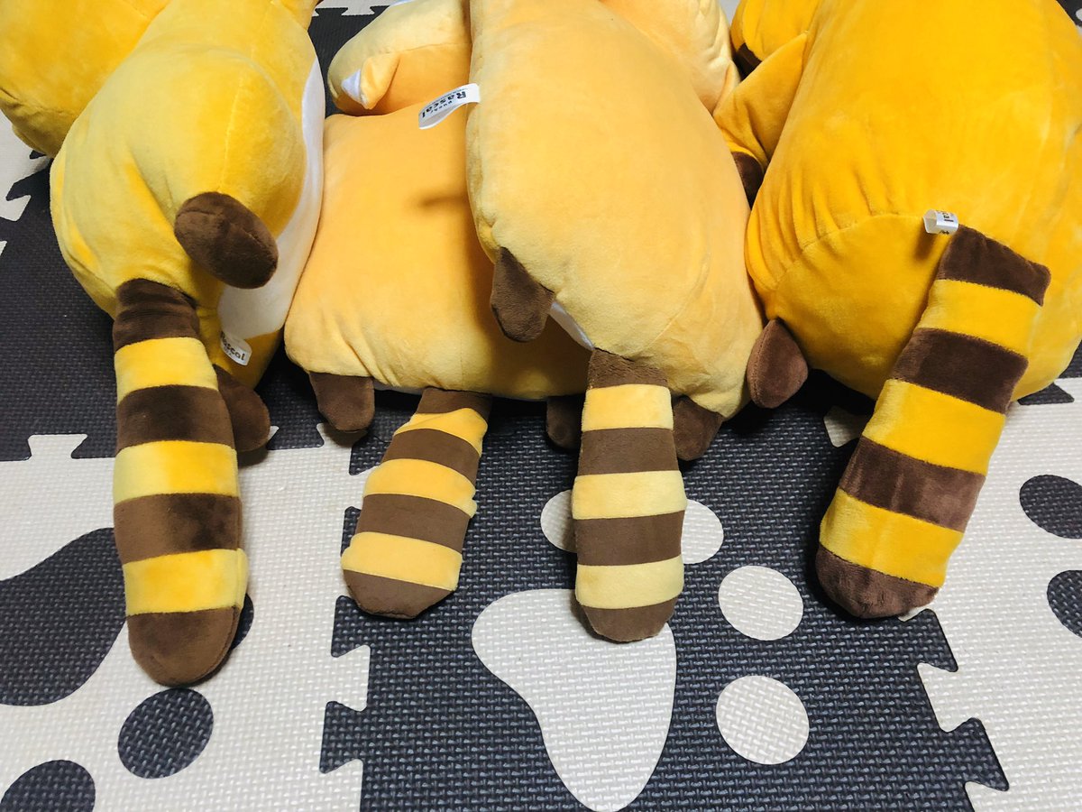 Rascal_2140's tweet image. #ラスカルしっぽの日 
これ撮ろうとしたら…
油性ペンで描かれてた(  ᵒ̴̶̷̥́ _ᵒ̴̶̷̣̥̀  )