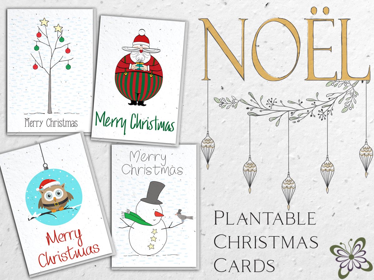 Dreaming of a green Christmas? No worries! Our plantable Christmas cards are made from seed paper; recycled paper that’s packed full of flower seeds. Plant them and watch them flower. 0% waste 100% flowers lejardinperdu.com/collections/pl… #ecofriendly #christmas