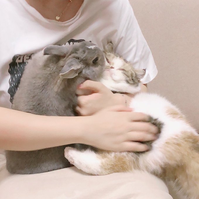 Twitterのコスプレ画像21