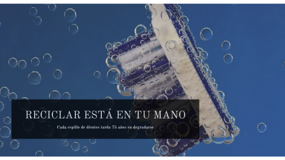 ClinicaGS's tweet photo. Cada persona usa una media de 300 #cepillos dentales a lo largo de su vida. Una excelente opción para evitar la contaminación es utilizar cepillos biodegradables de #bambú.

♻ ¡Sonríe al planeta y él te devolverá la sonrisa!

▶ https://t.co/cwo2zABGM9 https://t.co/Tpv2fO738J