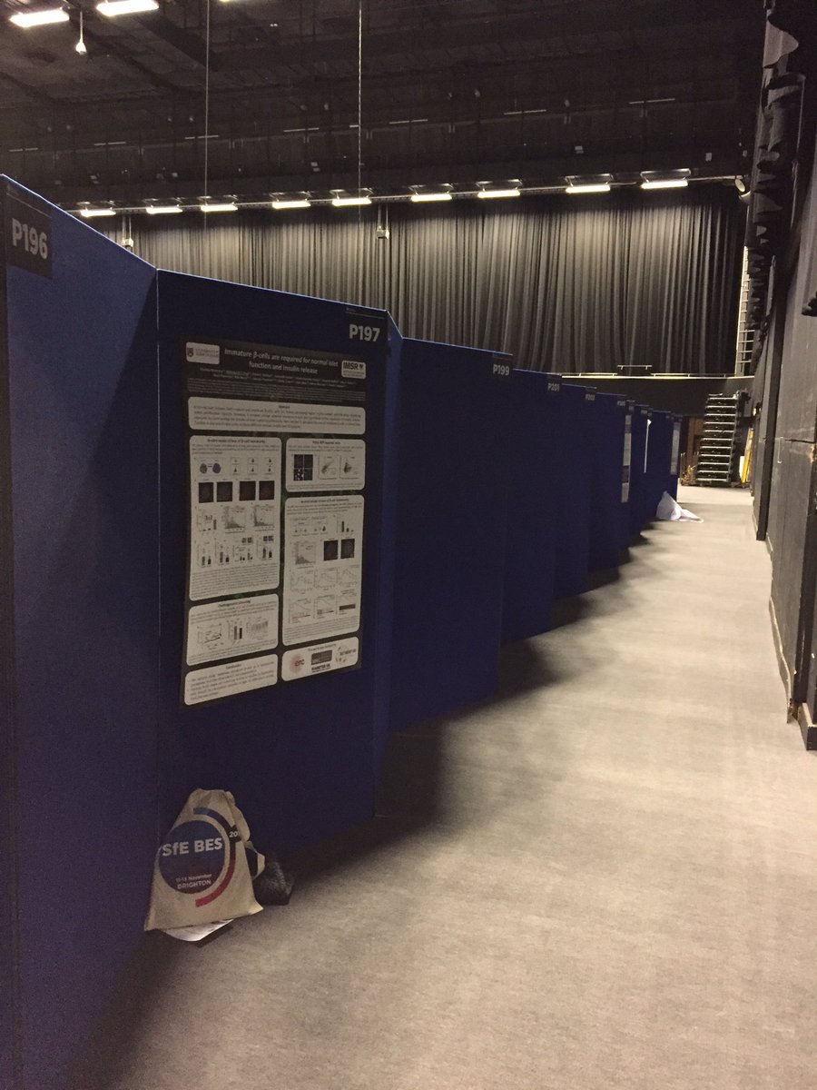 Prime location at this year’s SfE BES