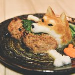 センスとクオリティーがすごい!ワンコがお肉をくわえてるおろしハンバーグ!